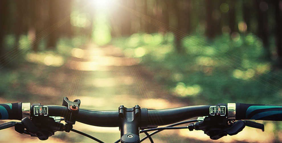 Cycling in Chichester